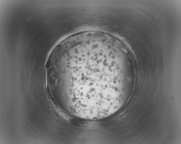 X0000082731175200702161859