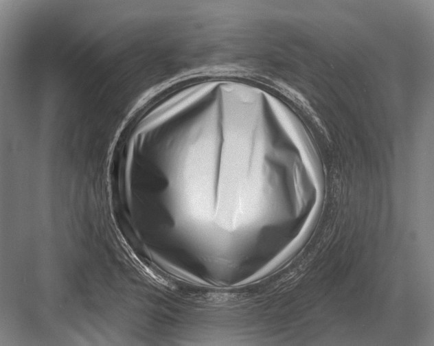 X0000082731176200702161859