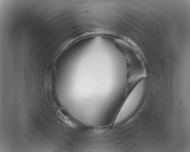 X0000082731177200702161859