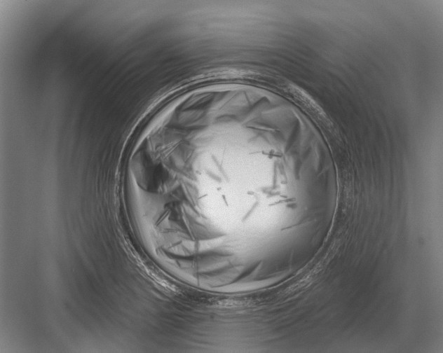 X0000082731178200702161859