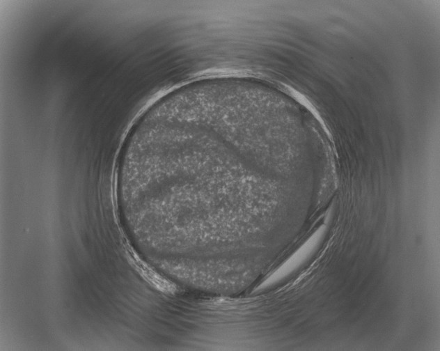 X0000082731179200702161859