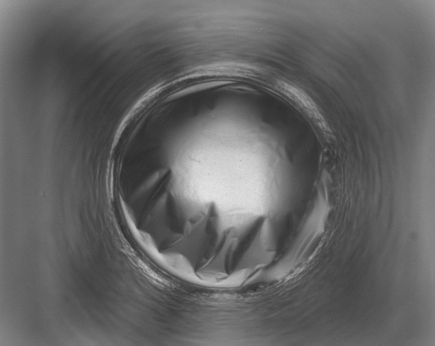 X0000082731180200702161859