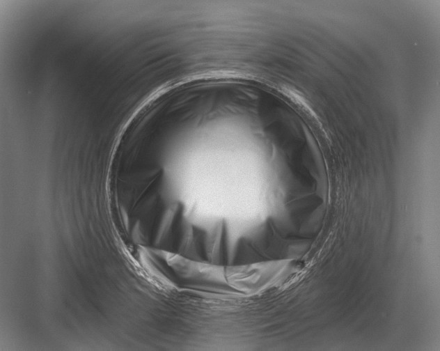 X0000082731181200702161859