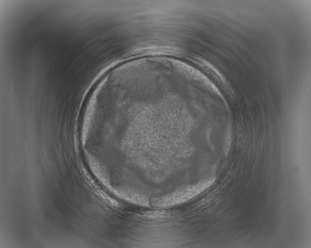 X0000082731182200702161859