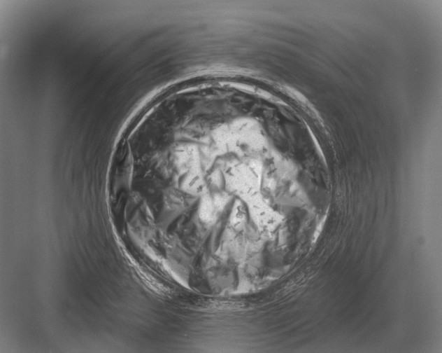 X0000082731183200702161859