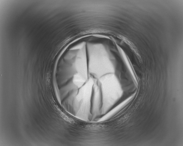 X0000082731185200702161859