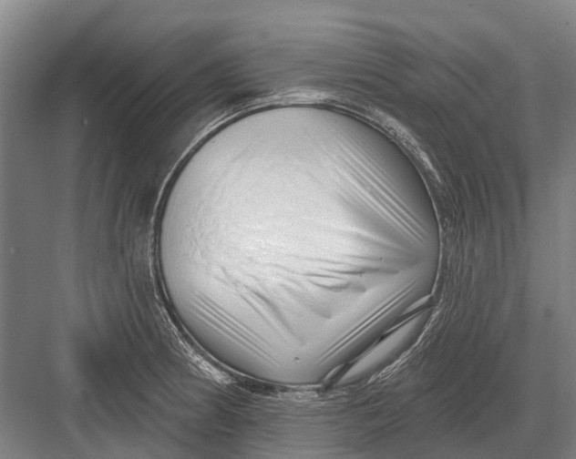 X0000082731186200702161859