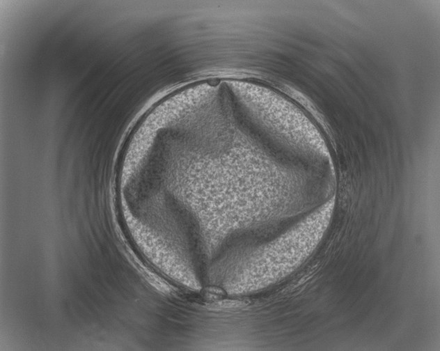 X0000082731187200702161859