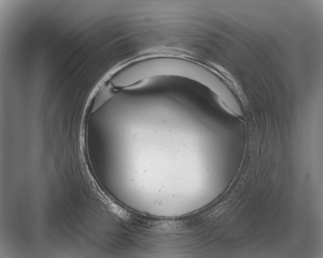 X0000082731188200702161859