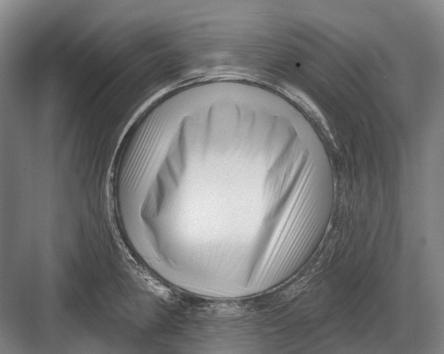 X0000082731190200702161859