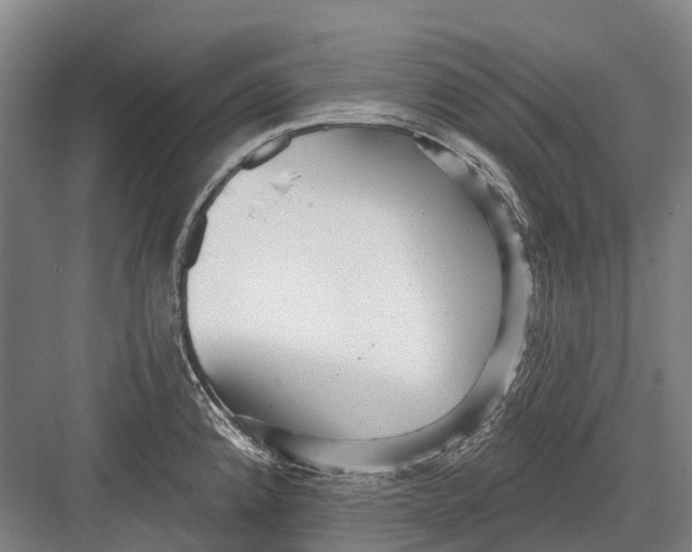 X0000082731192200702161859