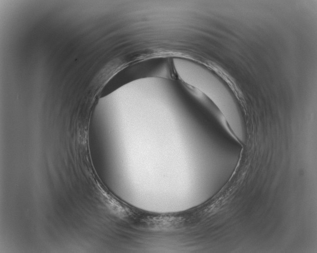 X0000082731193200702161859