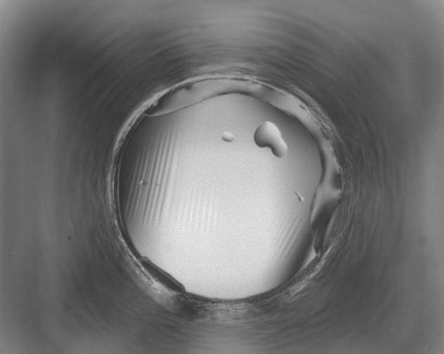 X0000082731196200702161859