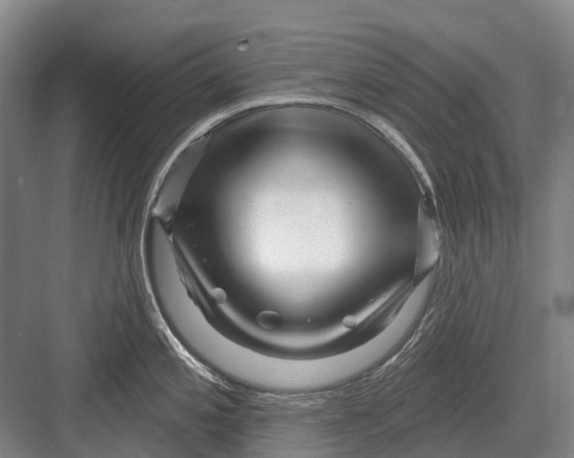 X0000082731197200702161859