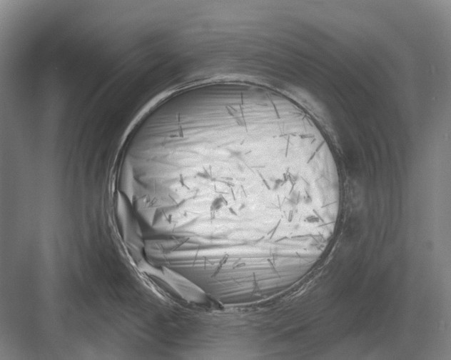 X0000082731198200702161859