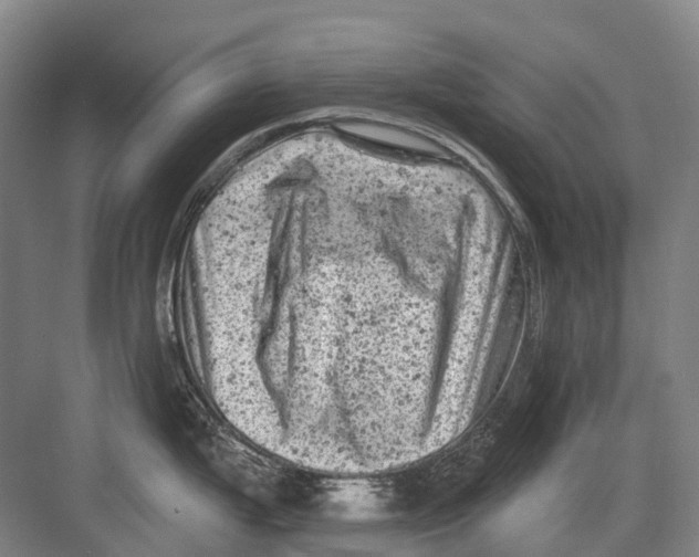 X0000082731199200702161859