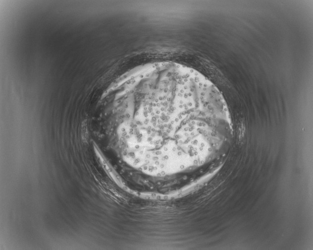 X0000082731204200702161858