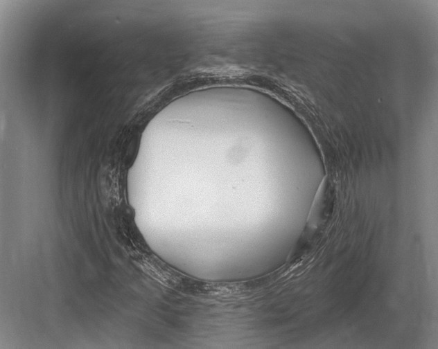 X0000082731205200702161858