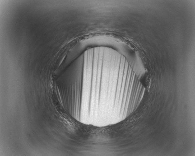 X0000082731206200702161858