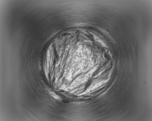 X0000082731209200702161858