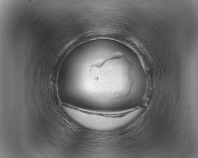 X0000082731210200702161858