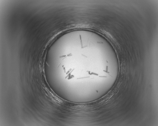 X0000082731212200702161858