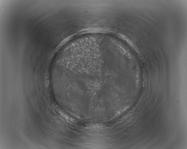 X0000082731213200702161858