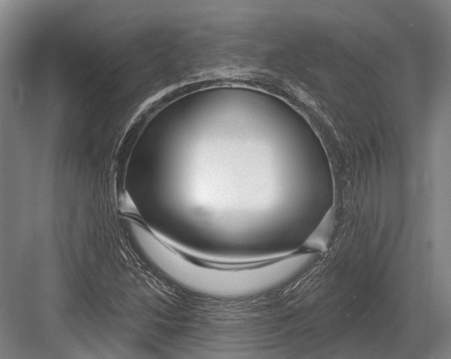 X0000082731214200702161858