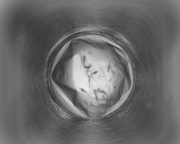 X0000082731216200702161858