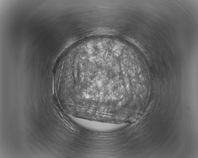 X0000082731219200702161858