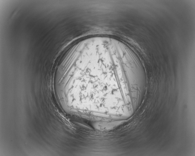 X0000082731220200702161858