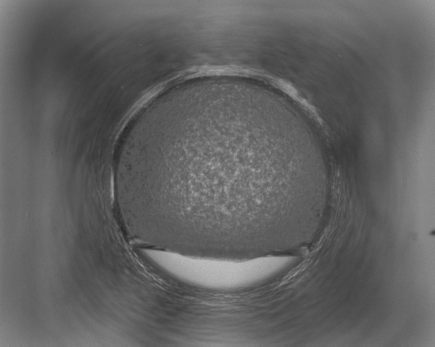 X0000082731221200702161858