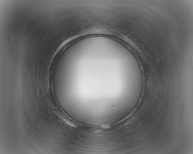 X0000082731222200702161858