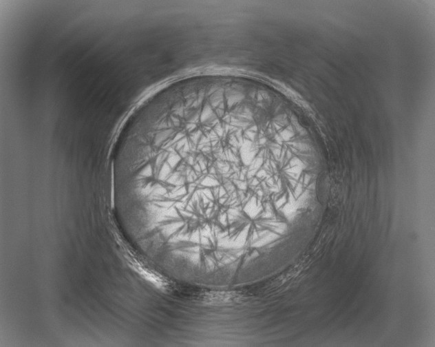 X0000082731223200702161858