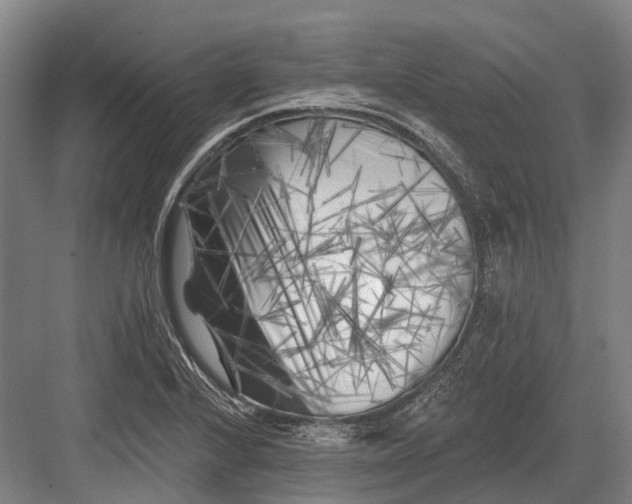 X0000082731224200702161858