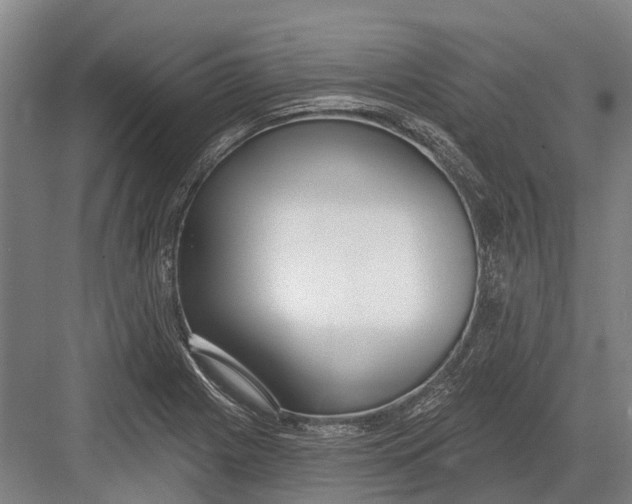 X0000082731225200702161858