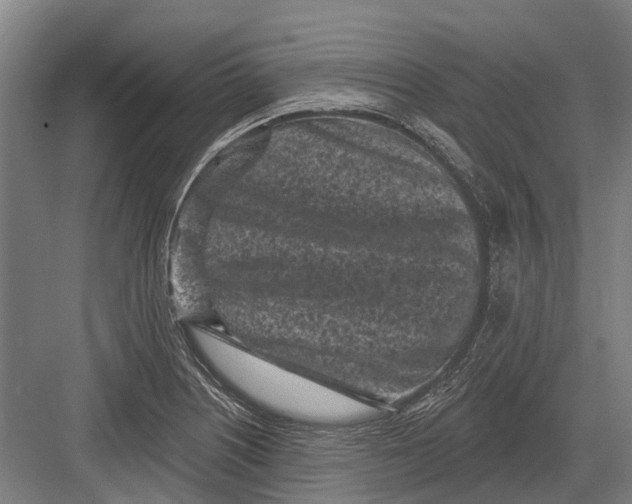 X0000082731226200702161858