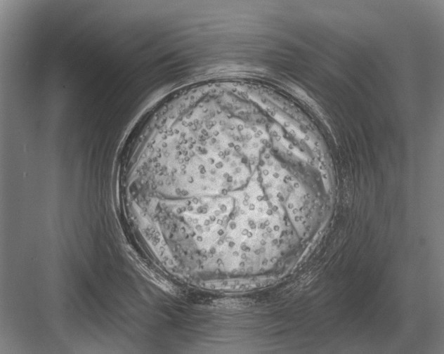 X0000082731227200702161859