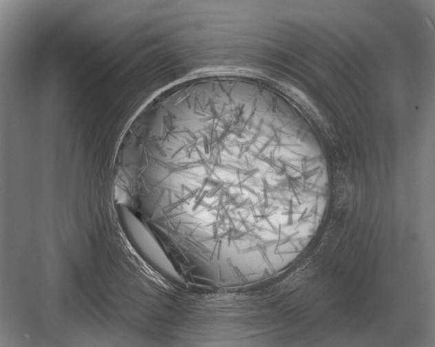 X0000082731228200702161859