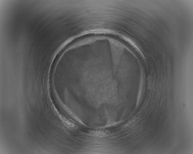 X0000082731229200702161859