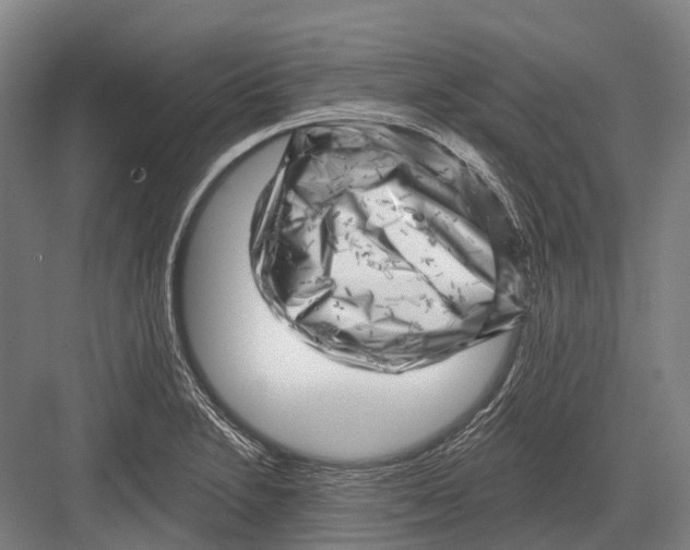 X0000082731230200702161859