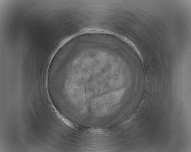 X0000082731231200702161859