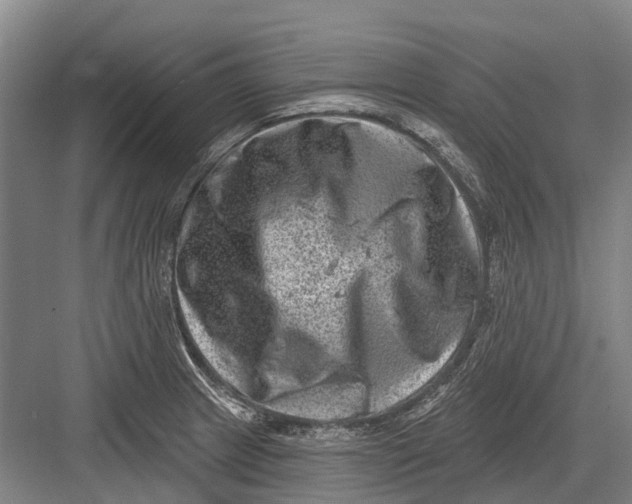 X0000082731233200702161859