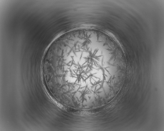 X0000082731235200702161859