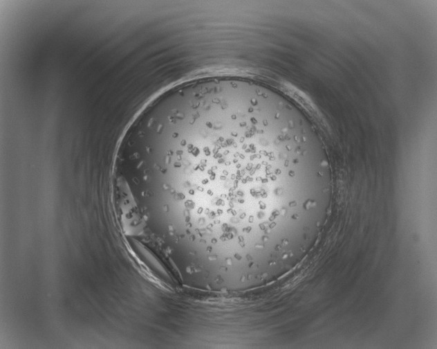 X0000082731236200702161859