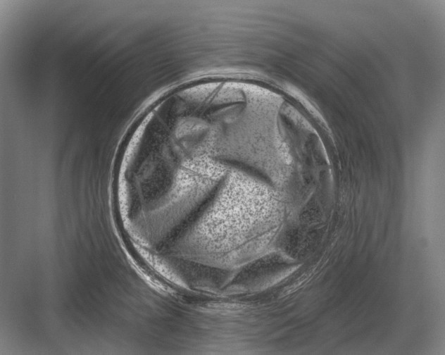 X0000082731237200702161859