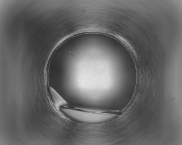 X0000082731238200702161859