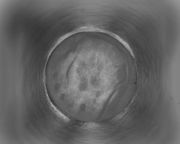 X0000082731239200702161859