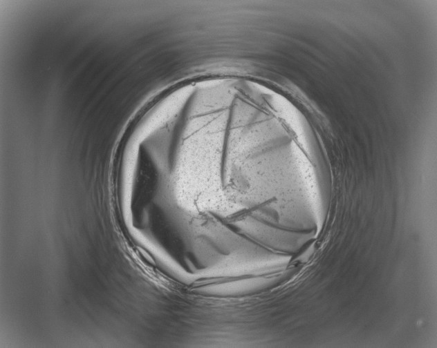 X0000082731240200702161859