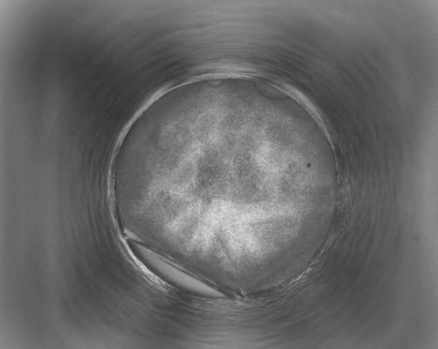 X0000082731243200702161859